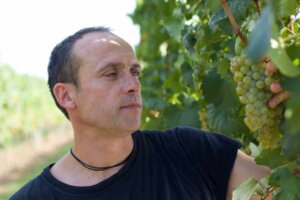 Rosa Coeli Vino Historie